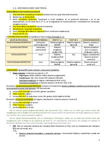 microbiologia-segon-parcial.pdf