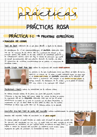 PRACTICAS-ROSA.pdf