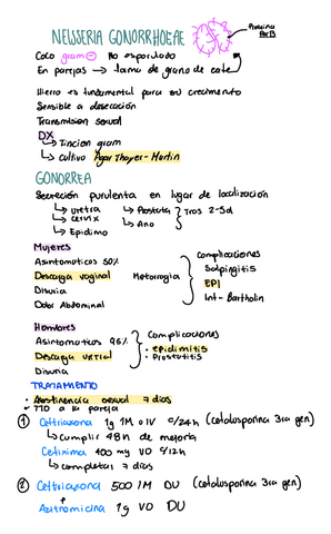 Neisseria-gonorrhoeae.pdf