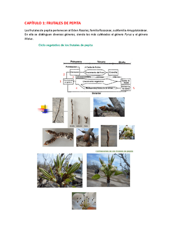 Resumen-parcial-2.pdf