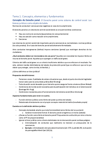 apuntes-penal-todo.pdf