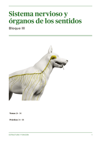Tema-24-Generalidades-del-sistema-nervioso.pdf