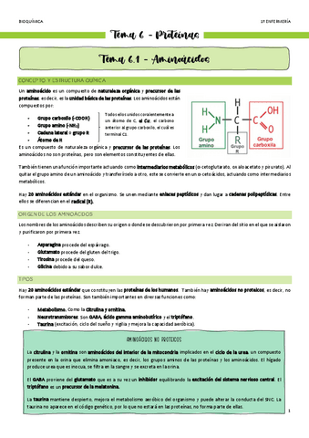 Tema-6-Proteinas.pdf