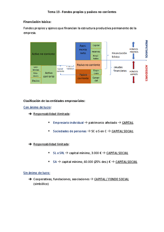 Tema-13-Fondos-propios-y-pasivos-no-corrientes.pdf