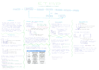A3-ETAP-WM.pdf