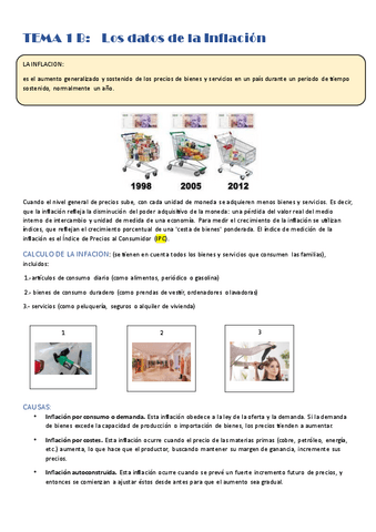 TEMA-1JB.pdf