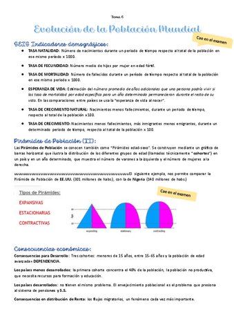 tema-6-de-global-bussines.pdf