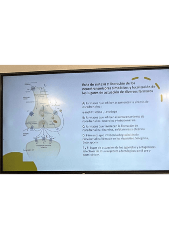 MUY-IMPORTANTE-Esquema-2o-Parcial.pdf