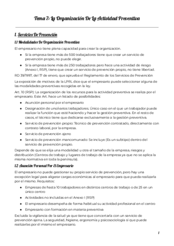 Tema-7-Seguridad-en-el-Trabajo-y-Accion-Social-en-la-Empresa.pdf