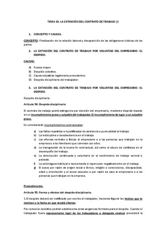 TEMA-19.pdf