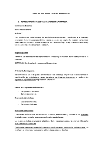 TEMA-22.pdf
