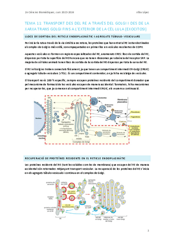 Tema-11.-Transport-del-Golgi-i-exocitosi.pdf