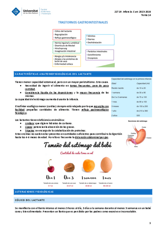 INFANCIA-TEMA-14.pdf