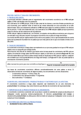 TEMA-11-ECONOMIA-POLITICA.pdf