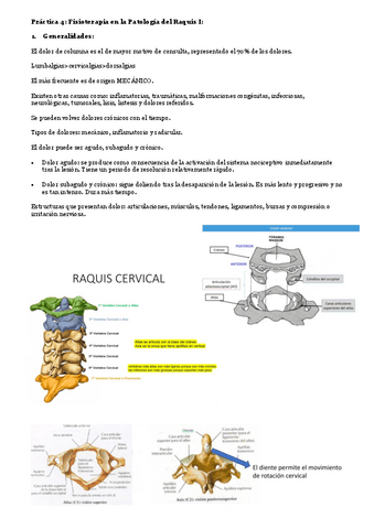 Fisioterapia-en-la-Patologia-del-Raquis-I.pdf