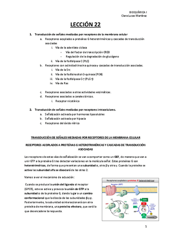 LECCION-22.pdf