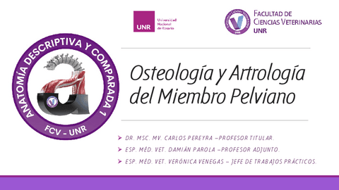 8Osteologia-y-Artrologia-del-MP2022.pdf