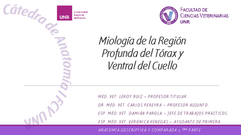 14cMiologia-de-la-Region-Profunda-del-Torax-y-Ventral-del-Cuello-2020.pdf