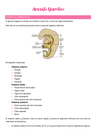 Aparato-Digestivo.pdf