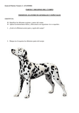 Guia-N-1-terminologia.pdf