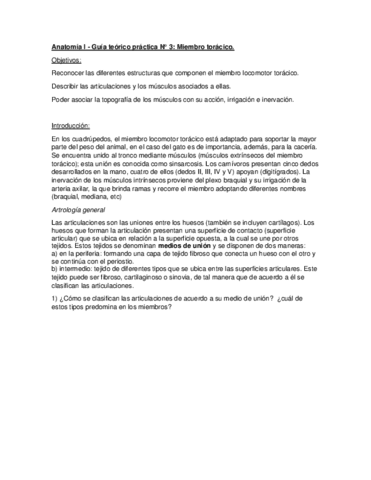Guia-N-3-miembro-toracicoa397b5d8429a1e74400e266ce8b0e6bc.pdf