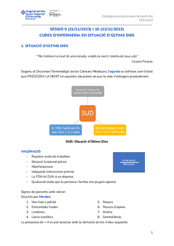 Sessio-9-i-10.-Situacio-dultims-dies.pdf