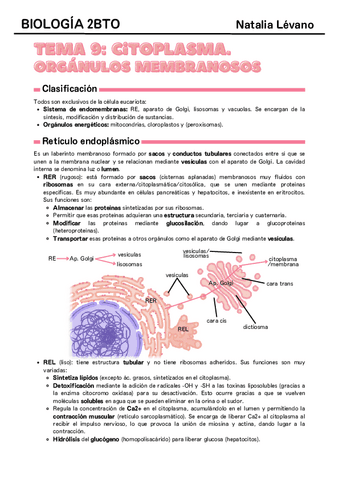 Tema-9-citoplasma-organulos-membranosos.pdf