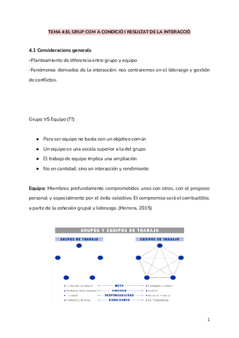 TEMA-4EL-GRUP-COM-A-CONDICIO-I-RESULTAT-DE-LA-INTERACCIO.pdf