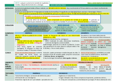 TEMA 1 ENDOCRINO.pdf