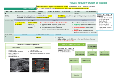 TEMA 3 ENDOCRINO.pdf