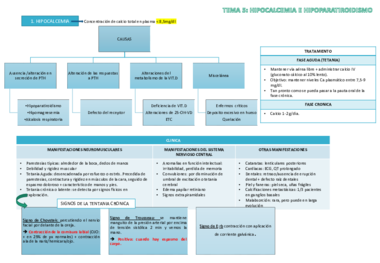 TEMA 5 ENDOCRINO.pdf