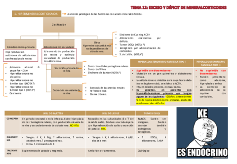 TEMA 12 ENDOCRINO.pdf