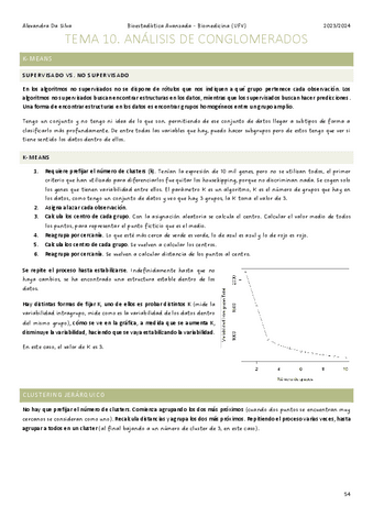 TEMA-10.pdf