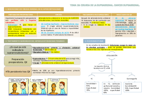 TEMA 16 ENDOCRINO.pdf