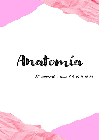 2o-parcial-de-Anatomia.pdf