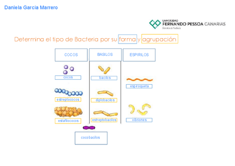 I01-Daniela-Garcia-Marrero.pdf