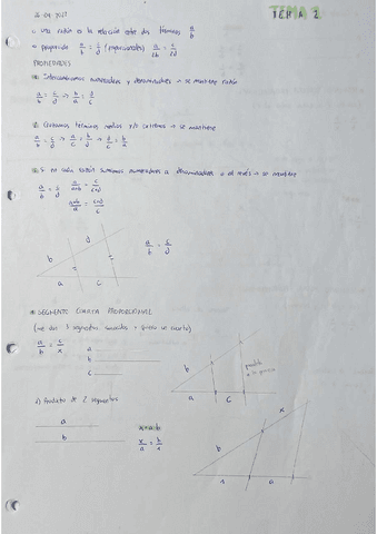 Tema-2.-Proporcionalidad-y-semejanza.pdf
