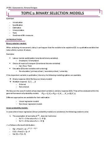 Econometrics-Topic-5-ENI.pdf