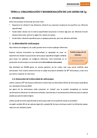 Tema-6.-Organizacion-y-reorganizacion-de-genes-de-inmunoglobulinas.pdf