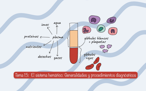 Tema-15-El-sistema-hematico-Generalidades-y-procedimientos-diagnosticos.pdf