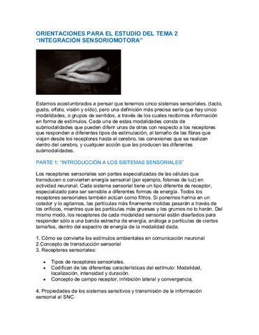 TEMA-2.pdf