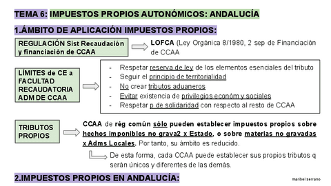 ESQUEMA-DESARROLLADO-TEMA-6-SIST-TRIBUTARIO.pdf