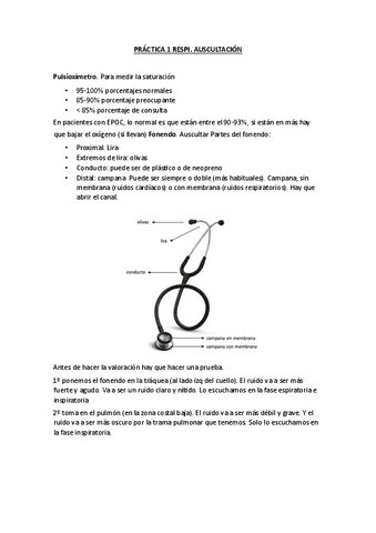 PRACTICA-RESPI.pdf