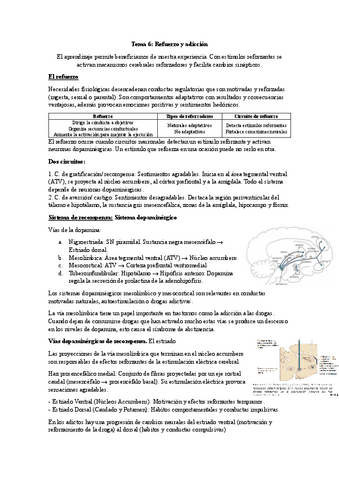 Tema-6-Psicologia-fisiologica.pdf