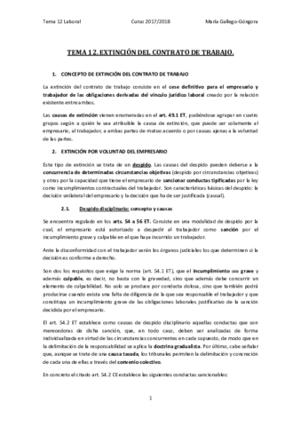 TEMA 12 MGG.pdf