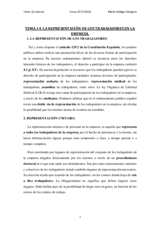 TEMA 14 MGG.pdf