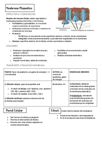 Bloque-II-Metabolismo.pdf