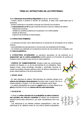 TEMA-6.2-ESTRUCTURA-DE-LAS-PROTEINAS.pdf