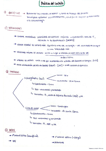 Practicas-Fisiologia-lactato-ECG-VO2max-e-hipoalgesia.pdf