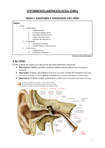 Otorrinolaringologia-terminado.pdf